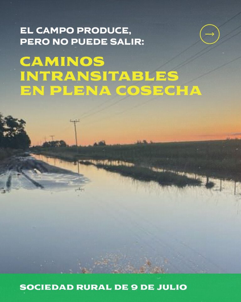 El Semáforo de Caminos Rurales de Nueve de Julio cumple dos años, pero la red vial sigue intransitable en plena cosecha