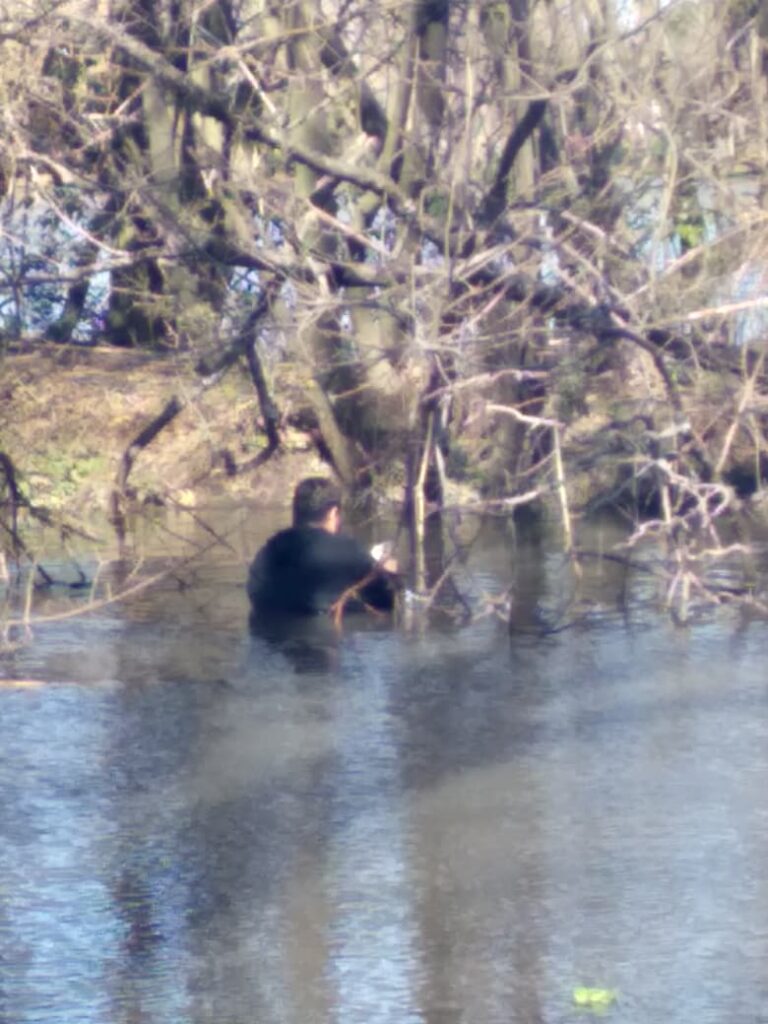 Héroe inesperado en el Parque San Martín: empleado bancario rescata a gansos atrapados en una helada mañana