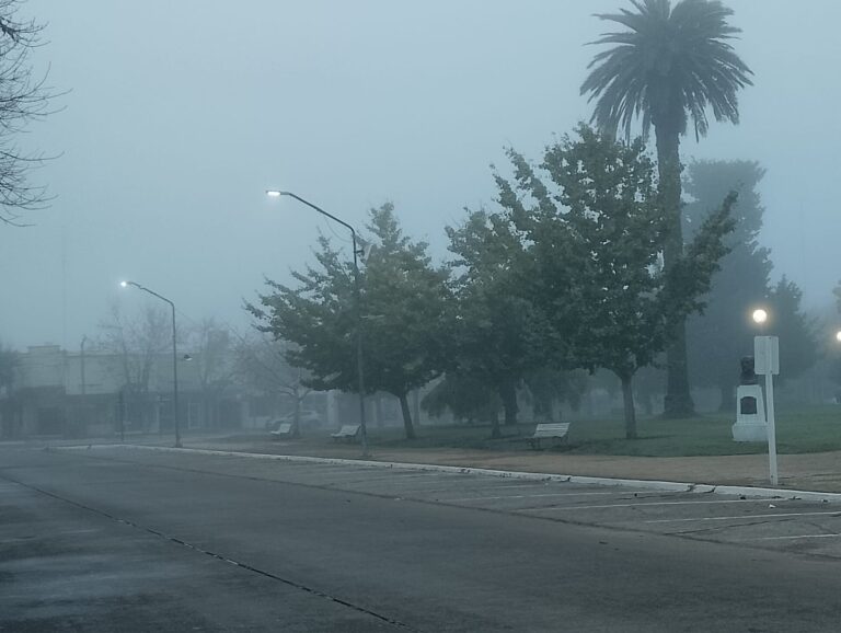 Con densa niebla gran parte de la provincia de Buenos Aires amaneció con visibilidad reducida