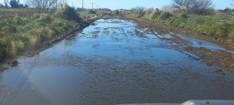 Docentes caminaron por caminos anegados para dar clases en Morea e Inchausti