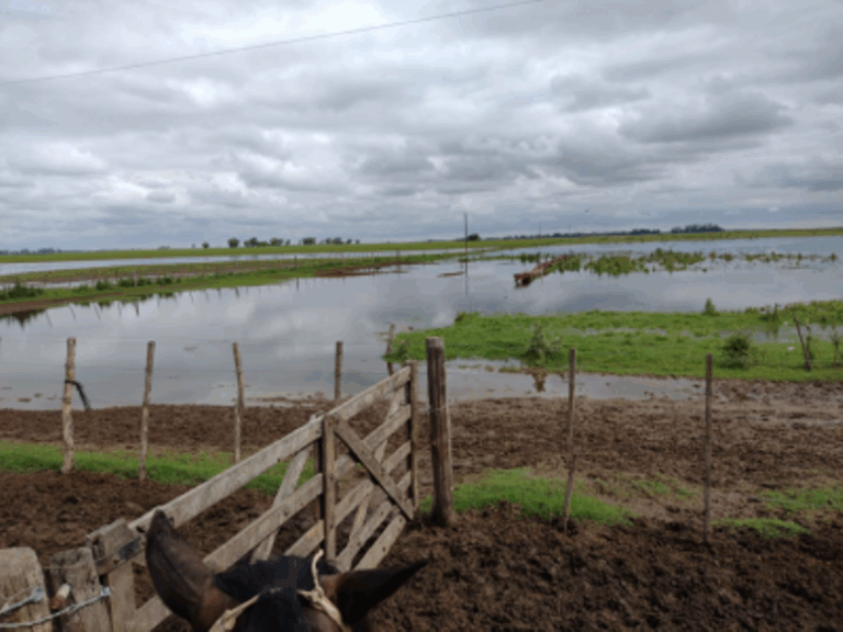 Convocan a productores agropecuarios de Nueve de Julio a presentar Declaración Jurada por Emergencia y/o Desastre