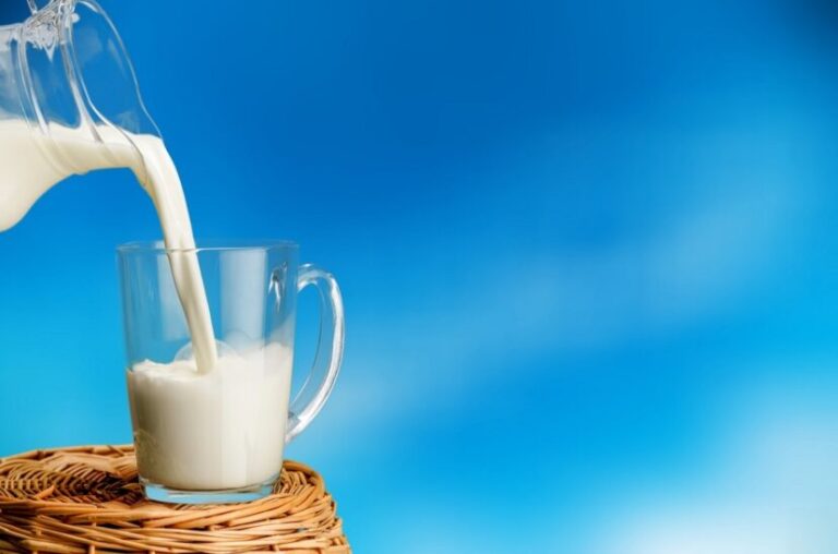 Día Mundial de la Leche: Una fecha para celebrar y reflexionar sobre un alimento esencial
