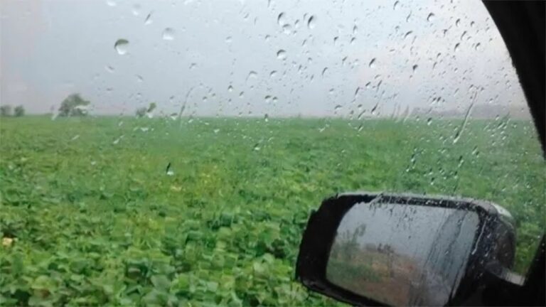 Lluvias débiles en gran parte de la Provincia de Buenos Aires