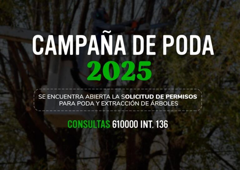 La Municipalidad recuerda que la poda y extracción de árboles requieren autorización previa