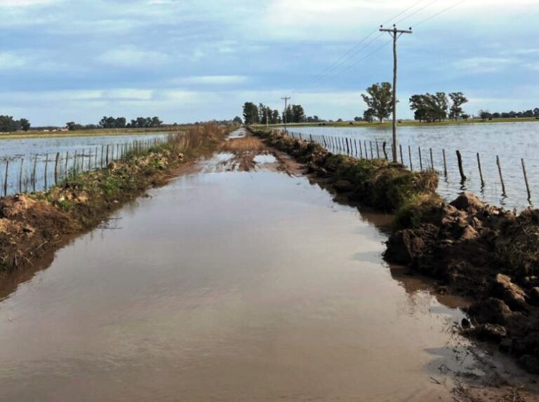 Semáforo de Caminos Rurales: en mayo el 96% estaba en mal estado
