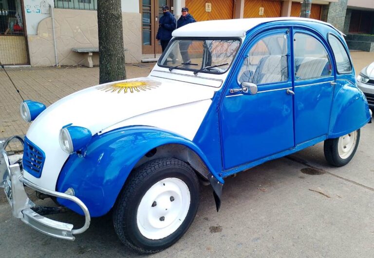 Gesto de argentinidad: un nuevejuliense viajará al monumento a la Bandera con un auto pintado con la azul y blanco