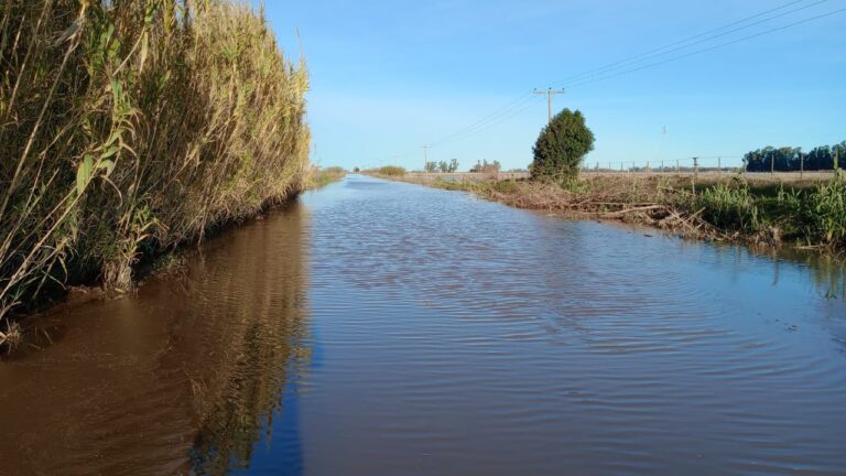 El camino entre Facundo Quiroga y Carlos Casares, bajo el agua: vecinos rurales totalmente aislados