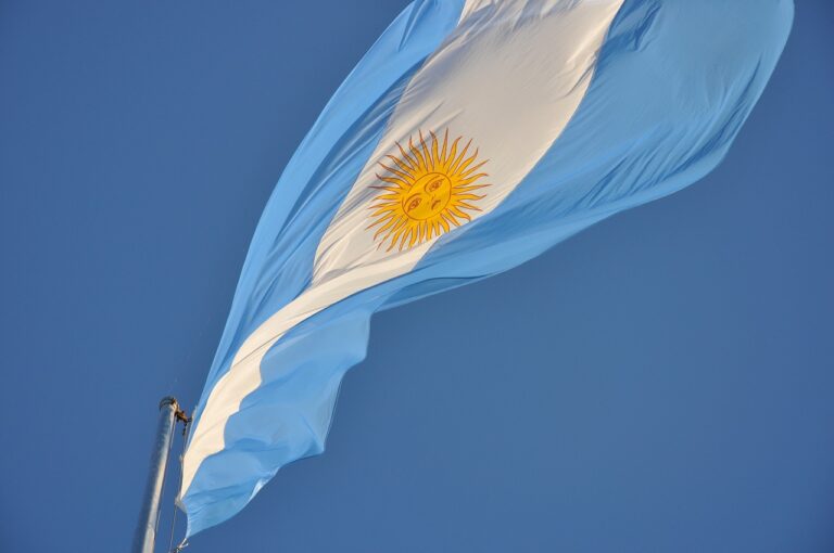 Científicos del Conicet revelan el color original de la bandera argentina: azul de ultramar