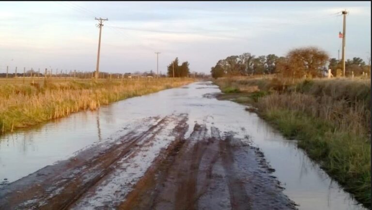 Sociedad Rural de Nueve de Julio exige respuestas a Kicillof ante la crítica situación hídrica y vial del distrito