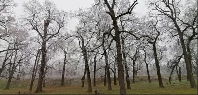 En Nueve de Julio, clima invernal marcado por frío, lloviznas con nubosidad y alertas en varias regiones del país