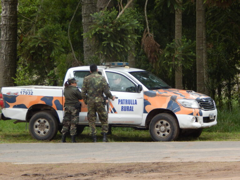 Tragedia en el campo: un peón rural murió al caerle un gajo en la cabeza mientras cortaba leña en Dudignac