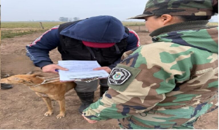 Caza furtiva en Nueve de Julio: infraccionan a seis personas del conurbano bonaerense