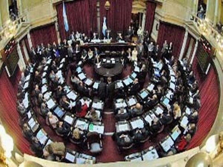 La oposición en el Senado buscará hoy sancionar leyes que incomodan al Gobierno