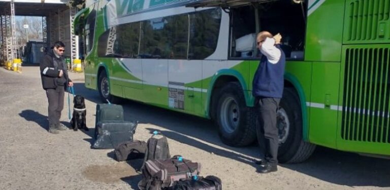 Recomendaciones para quienes viajan a la Patagonia con productos alimenticios