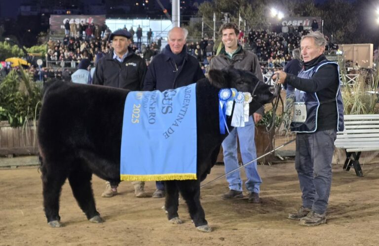Gustavo Mato y “La Rubeta” se consagraron con el Mejor Ternero Intermedio Negro en Palermo