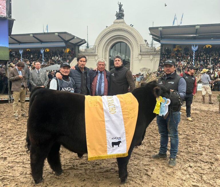 La Rubeta y Gustavo Mato, protagonistas en la pista con un Angus de excelencia