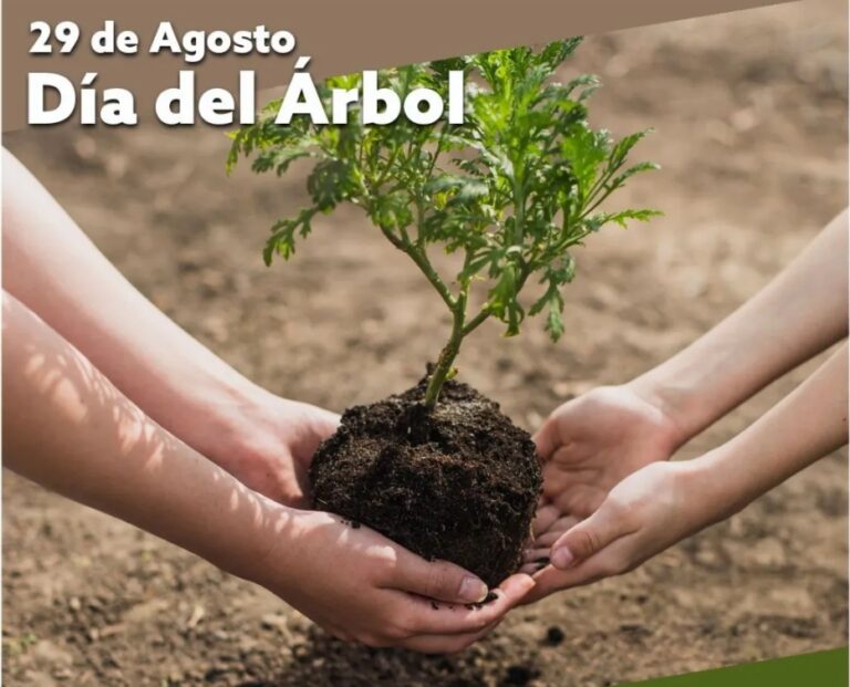 Día del árbol en Argentina: Un legado de educación y conservación