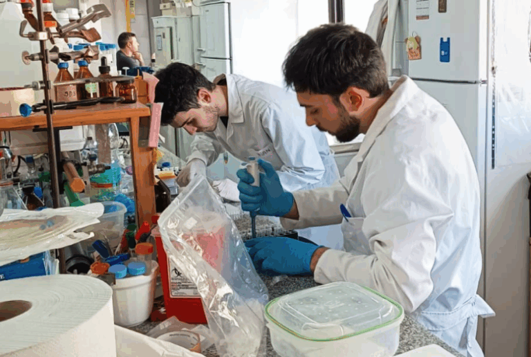 Estudian los factores ambientales que podrían incidir en el desarrollo de la celiaquía