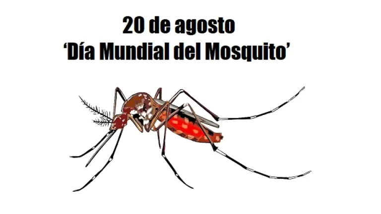 Concientización sobre los mosquitos: Un paso hacia la prevención