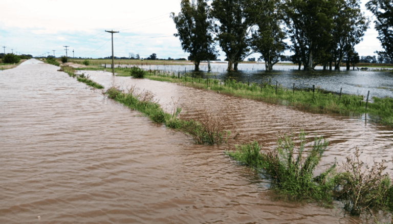 Alerta hídrica: el partido de Nueve de julio es el más afectado de la provincia