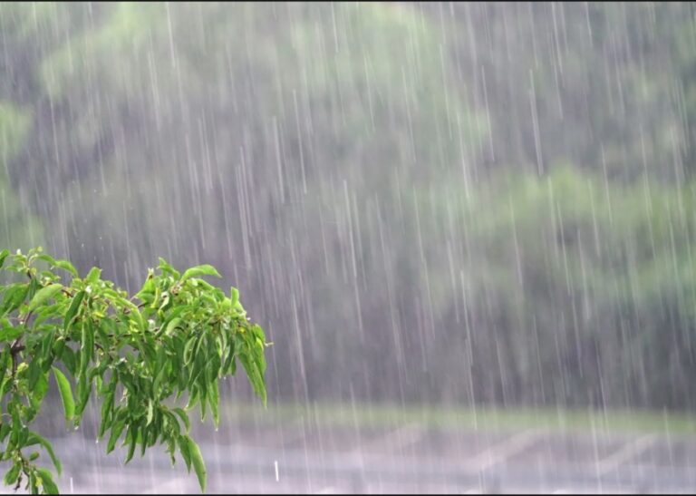 Fin de semana con lluvias intensas y fuertes ráfagas en zonas del DC3 de la provincia de Buenos Aires