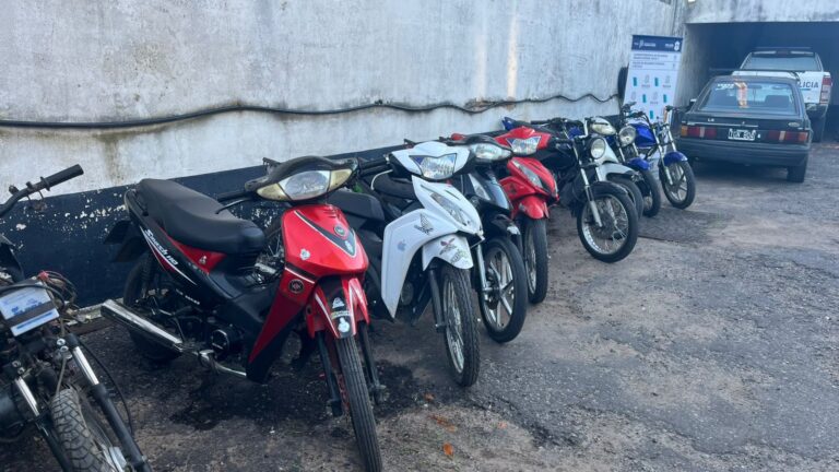 Destrozan juegos infantiles en el Parque San Martín: identifican a los responsables