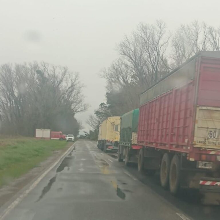 El viento causó estragos y complicó el tránsito en rutas 65 y 5