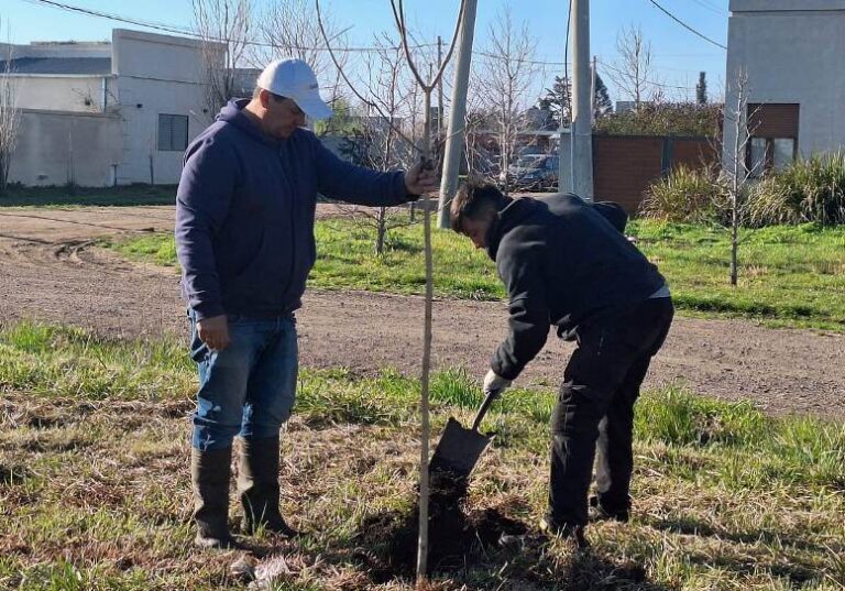 Se completó la plantación de árboles donados por el Rotary Club en espacios públicos