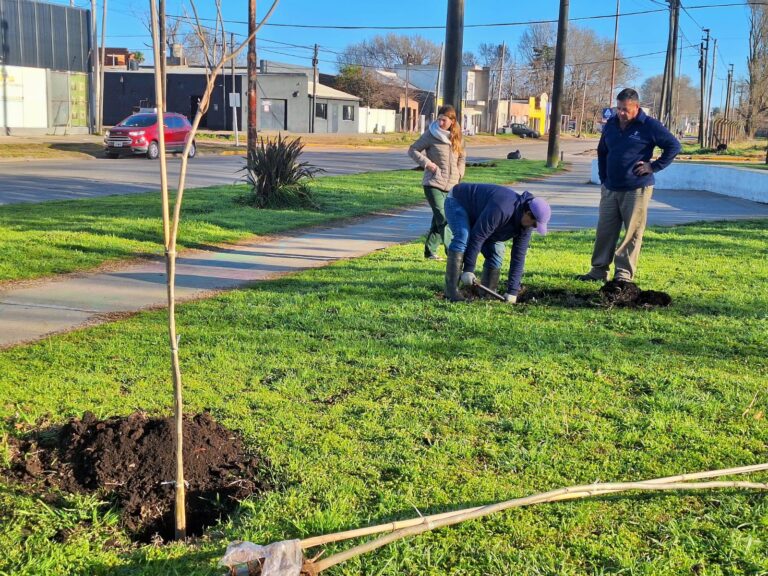 Forestan espacios públicos con árboles donados por el Rotary Club