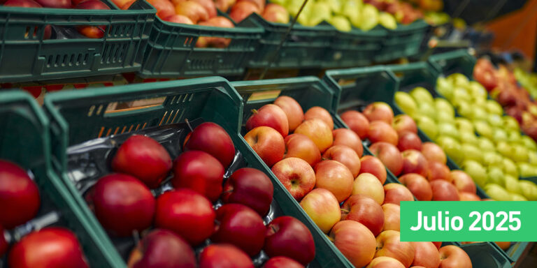 Suba de precios en frutas y verduras de hasta 28% en el Mercado Central
