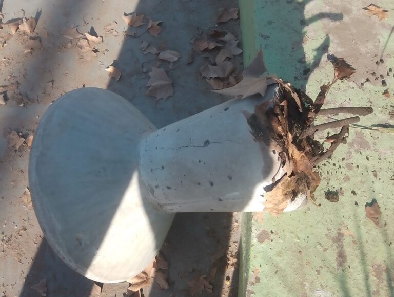 Actos de vandalismo en el Parque General San Martín dañaron instalaciones