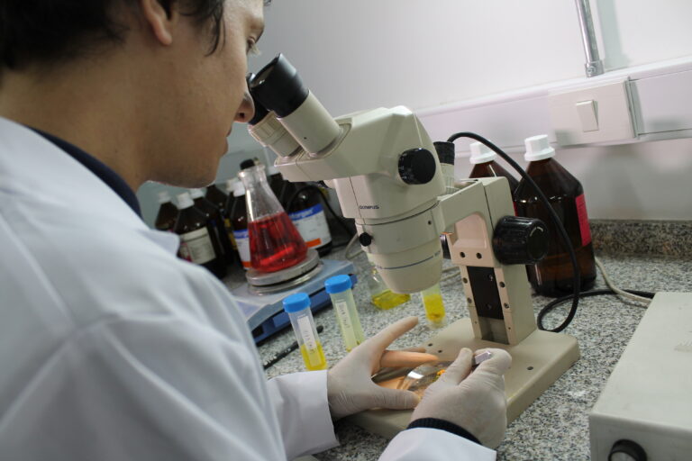 La Provincia impulsa redes federales de investigación con universidades para promover la ciencia y la tecnología