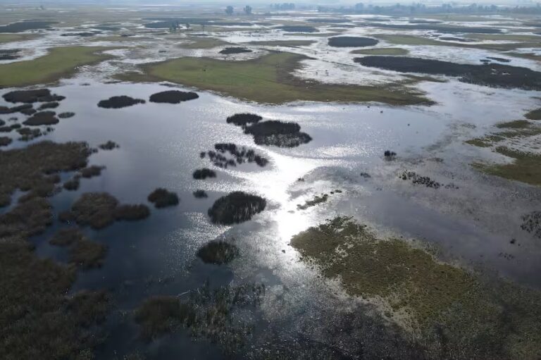 Denuncian penalmente a intendentes y funcionarios bonaerenses por las inundaciones