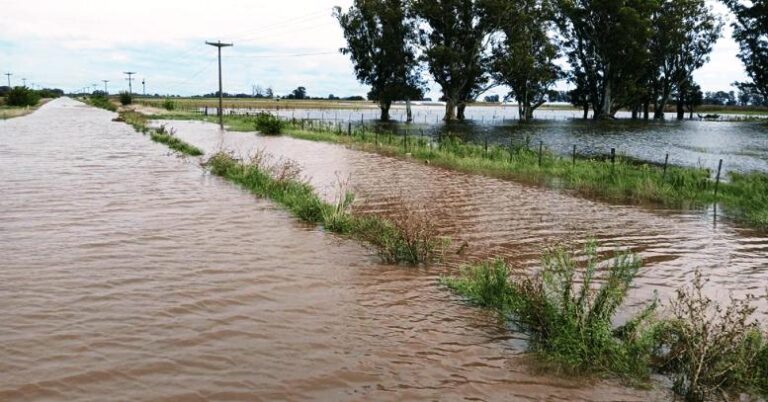 Convocatoria para productores afectados por la emergencia y/o desastre agropecuario