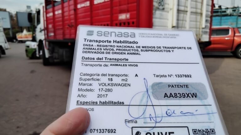 Senasa moderniza la habilitación de transportes de animales vivos y productos de origen animal