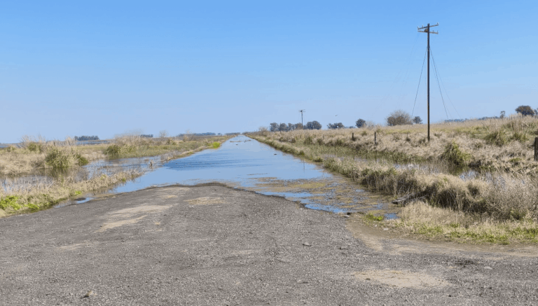 Nación homologó la Emergencia Agropecuaria a los productores de Nueve de Julio