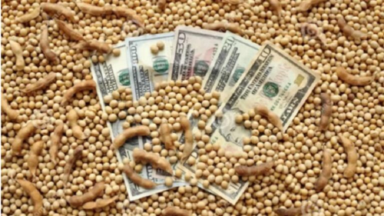 El campo exportó US$7.000 millones y el Gobierno dio por finalizado el esquema de retenciones cero
