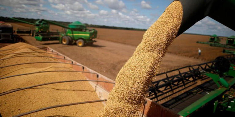 Retención Cero: Una medida sin beneficio real para los Productores