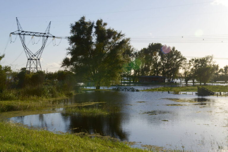 Atención: Este martes 7 vence el plazo para presentar Declaración Jurada por Emergencia Agropecuaria