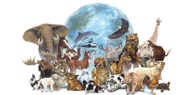 Día Mundial de los Animales: La urgente necesidad de proteger a las especies en peligro de extinción
