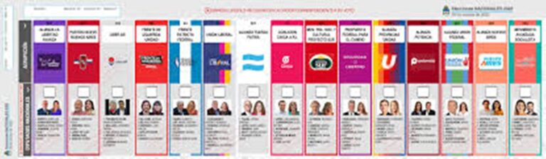 Boleta Única de Papel: La Directora de la DNE pide paciencia ante el nuevo sistema de votación