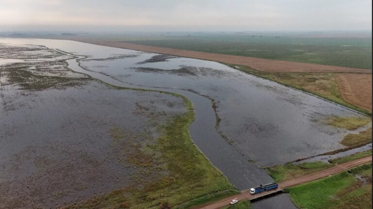 Continúa habilitada la carga de Declaraciones Juradas para la prórroga de la Emergencia Agropecuaria