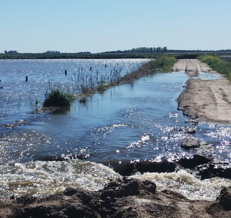 Senadora Gil impulsa la concreción del “Nodo San Emilio” para mitigar inundaciones en la cuenca del Salado