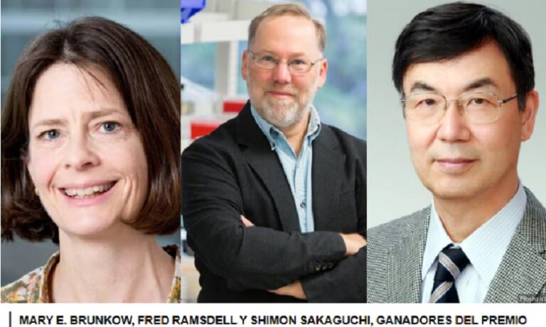 Tres científicos ganan el Nobel de Medicina por revelar cómo el cuerpo evita atacarse a sí mismo