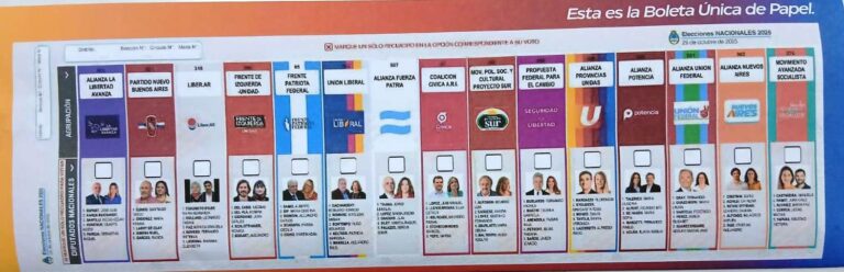 En Provincia se eligen 35 diputados: En la Boleta Unica solo una cruz o tilpe da validez al voto