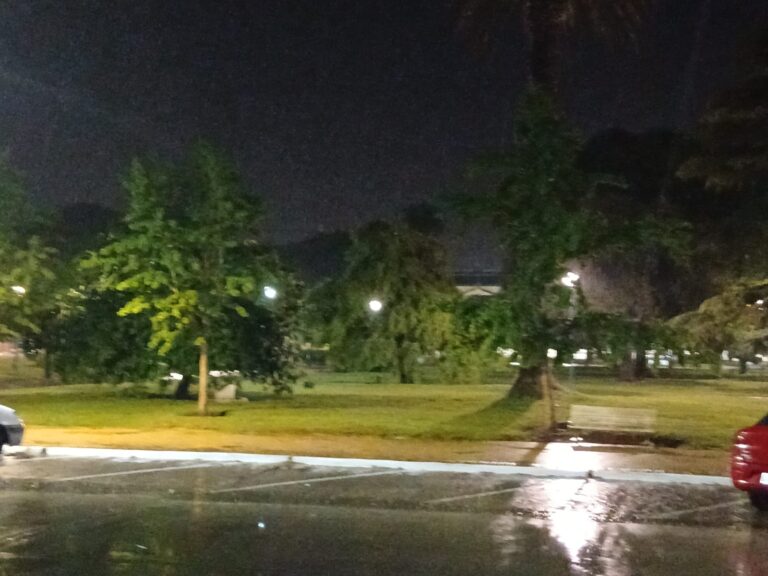 Ya cayeron 79,5 mm en Nueve de Julio y seguirán las lluvias