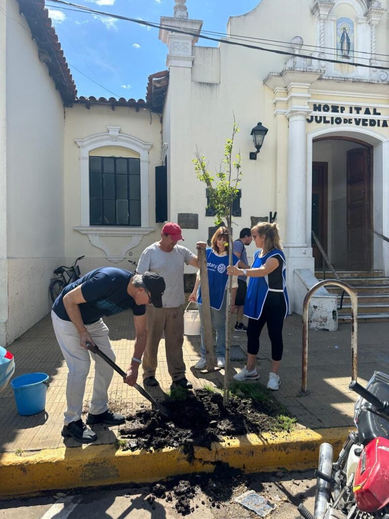 Continúa la Plantación de Árboles en espacios públicos donados por Rotary Club