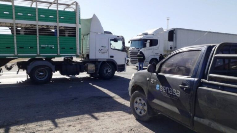 Se actualiza normativa para playas de lavado y desinfección de transportes de animales