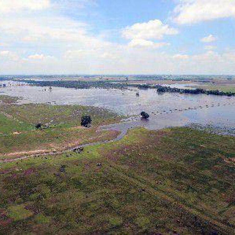 Emergencia Agropecuaria: cierran las cargas de Declaraciones Juradas este viernes