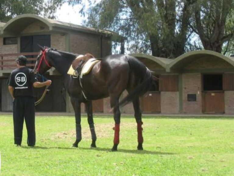 Un peón rural de origen entrerriano está privado de su libertad en una Estancia de Carmen de Areco